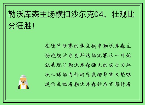 勒沃库森主场横扫沙尔克04，壮观比分狂胜！