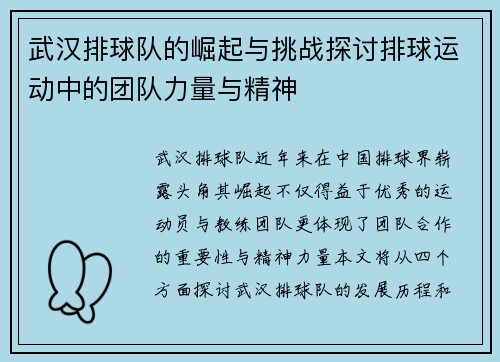 武汉排球队的崛起与挑战探讨排球运动中的团队力量与精神