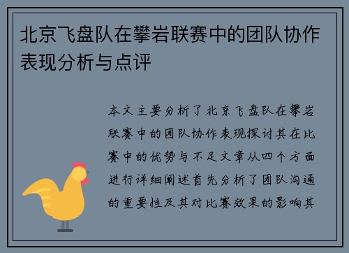 北京飞盘队在攀岩联赛中的团队协作表现分析与点评